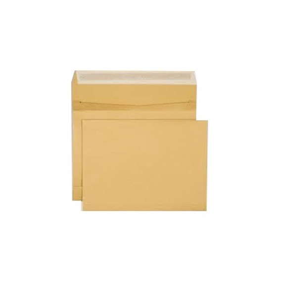 Enveloppe Kraft PIGNA 162 x 229 mm strip 90 Gr (PQ/500)