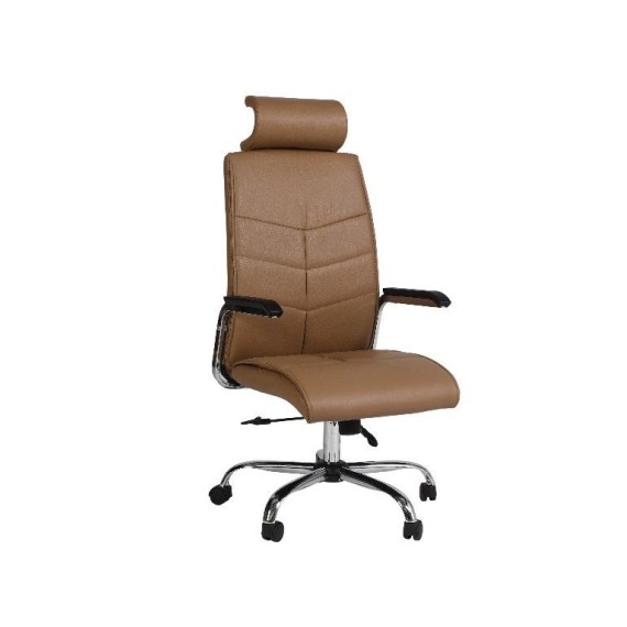 Fauteuil Ergonomique LYDA Grege-GM Avec Accoudoirs