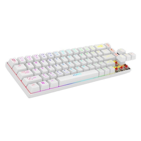 Clavier Gamer Mécanique AQIRYS ALUDRA TKL100% Anti-Ghosting RGB - Blanc