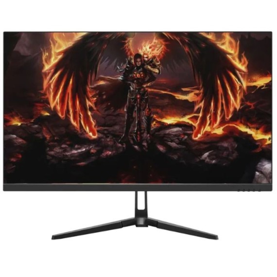 Ecran Gaming AERO QG25DFA 24.5'' Full HD 240Hz