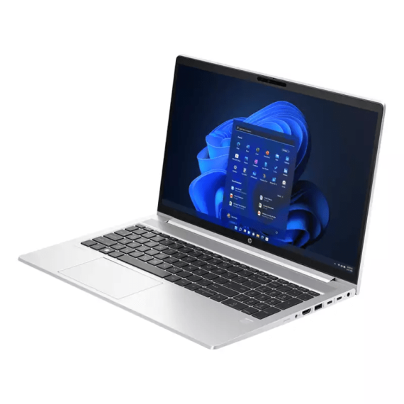 HP ProBook 450 G10 écran