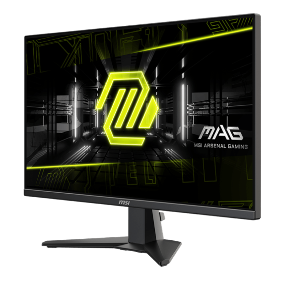 Ecran Gaming Msi MAG255XF 24,5” FHD Flat 300 Hz Noir (9S6-3BC21M-021)