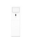 Climatiseur Armoire BIOLUX 60000 Btu pour commerce et hôtel