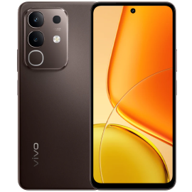 Vivo Y29 8Go 256Go Marron