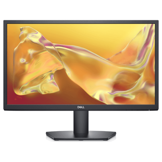 Moniteur DELL PRO SE2225HM 100 Hz