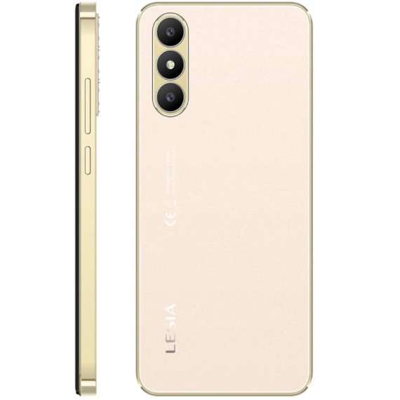 Téléphone portable Lesia Young 6 Gold Android entrée de gamme prix Tunisie