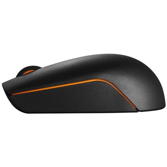 Souris bureautique LENOVO 300 Noir, design ambidextre pratique