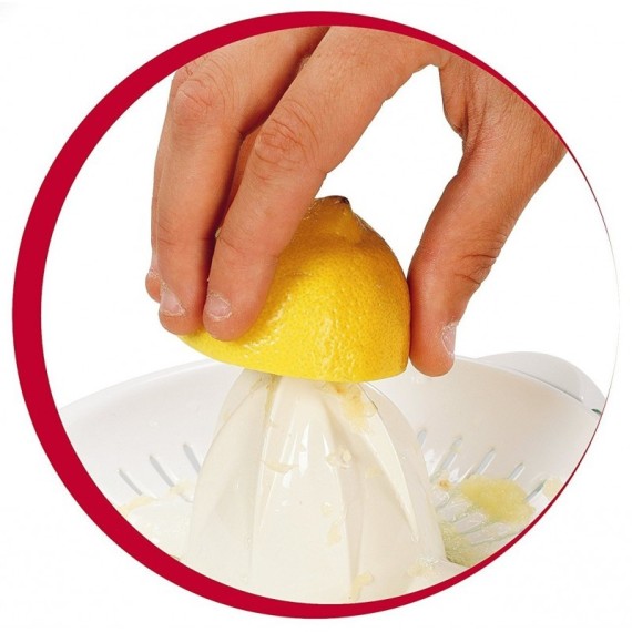 Extraction jus rapide avec presse-agrumes automatique Vitapress