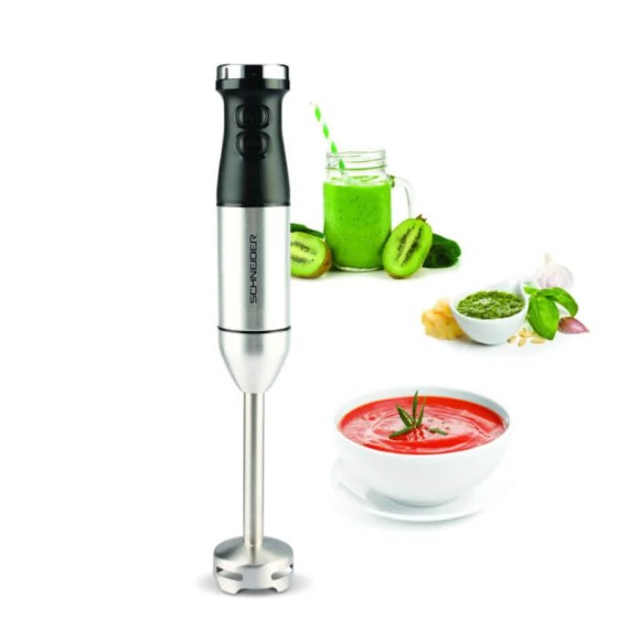 Mixeur ergonomique inox SCHNEIDER compact et performant
