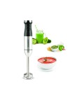 Mixeur ergonomique inox SCHNEIDER compact et performant