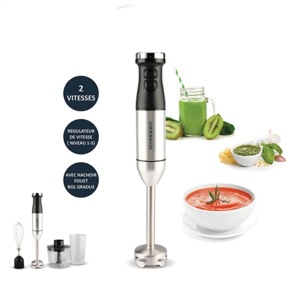 Mixeur multifonction SCHNEIDER pour smoothies et soupes