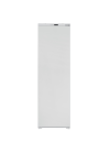 Congélateur BIOLUX blanc grande capacité 370L