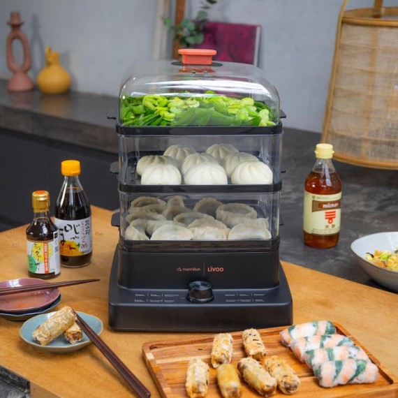 LIVOO DOC300 1200W noir 12 litres - Cuiseur Vapeur puissant