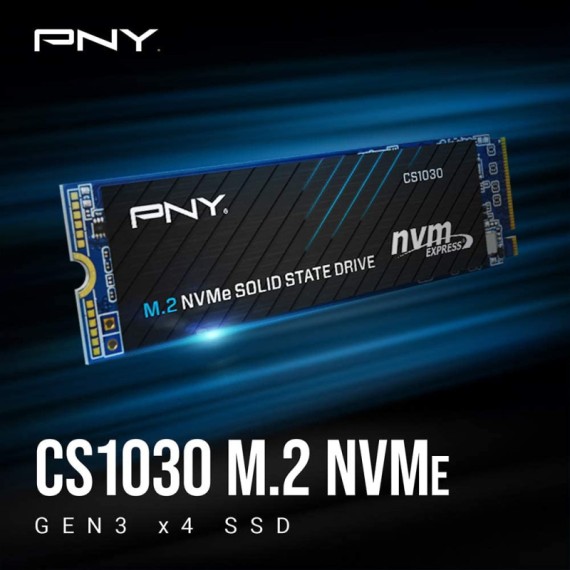 SSD interne 250Go NVME PCIe pour gaming et bureautique