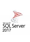 Microsoft SQL Server Standard 2017 OLP (228-11135)