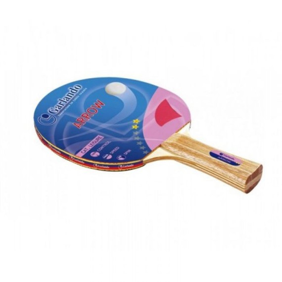 Raquette de Tennis de Table GARLANDO Arrow 2 étoiles - Bleu&Rose (2C4-114)