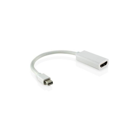 Adaptateur Mini Display Port