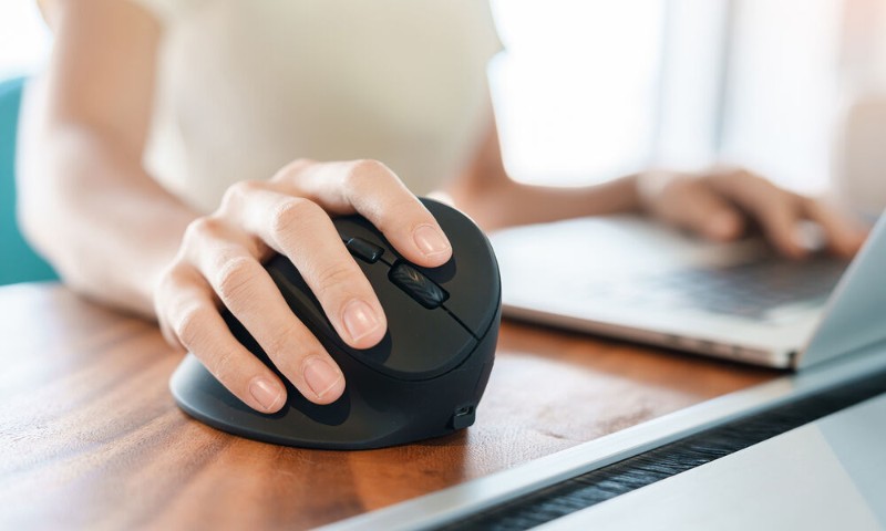 Souris sans fil ergonomique pour ordinateur de bureau et portable