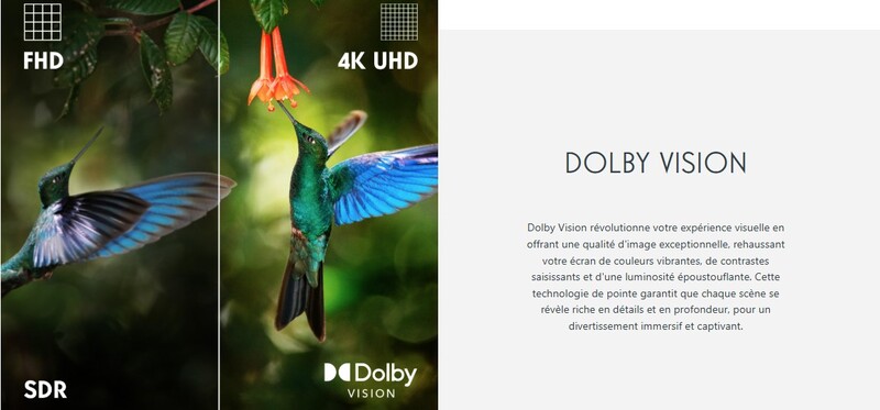 Google TV 50 pouces avec Dolby Vision